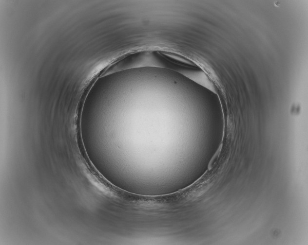 X0000093520389200710261224