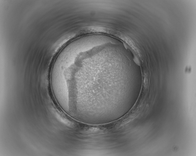 X0000093520390200710261224