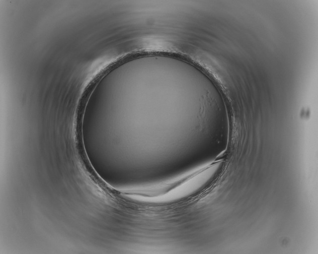 X0000093520391200710261224