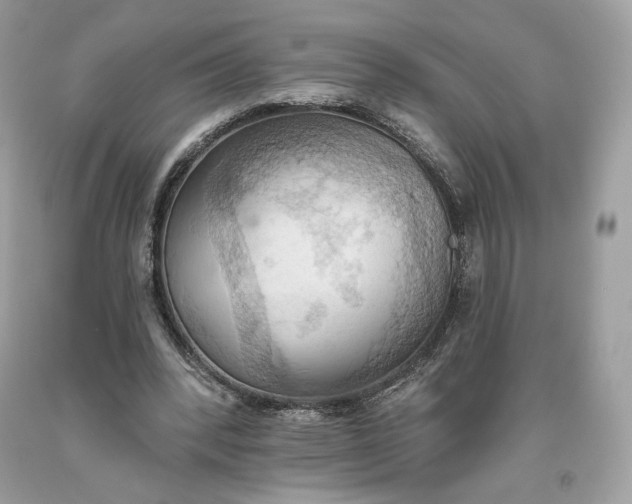 X0000093520392200710261224