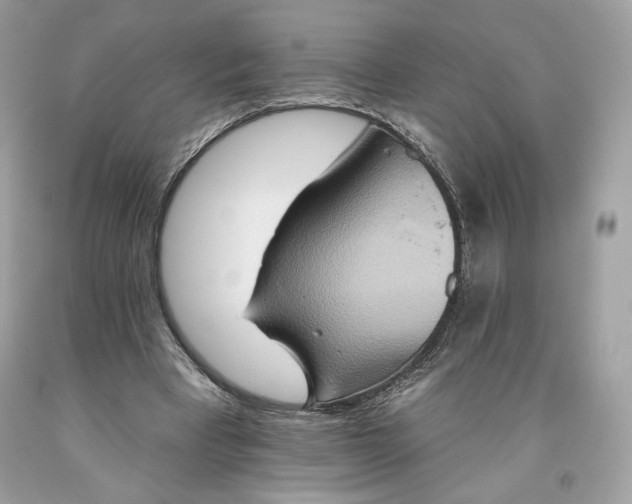 X0000093520393200710261224