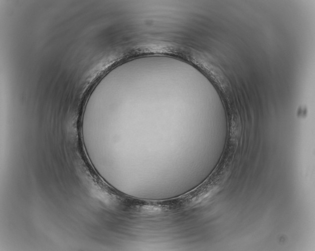 X0000093520394200710261224