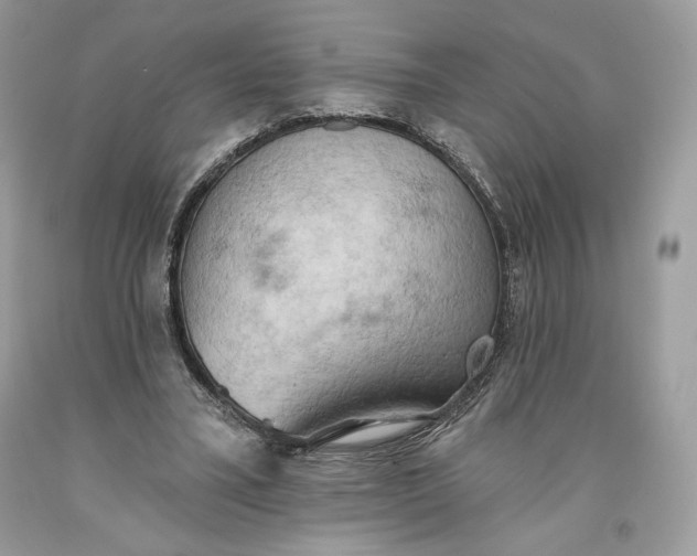 X0000093520395200710261224