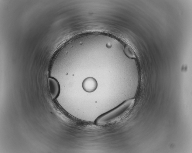 X0000093520397200710261224