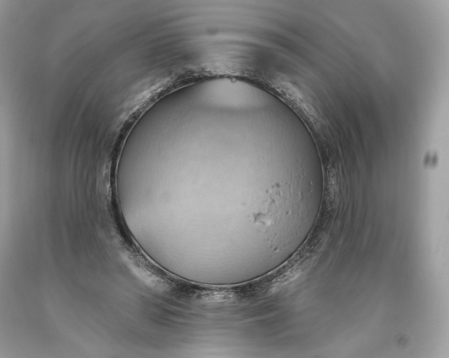 X0000093520398200710261224