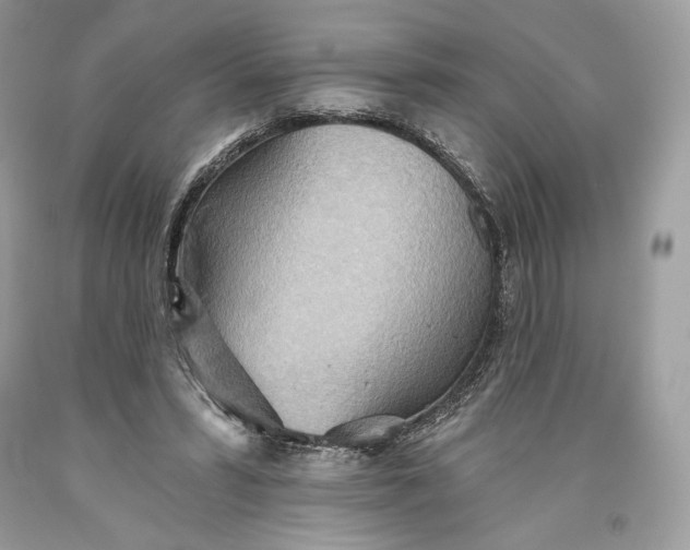 X0000093520399200710261224