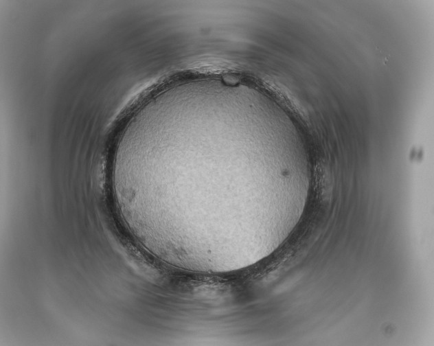 X0000093520400200710261224