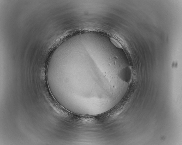 X0000093520401200710261224