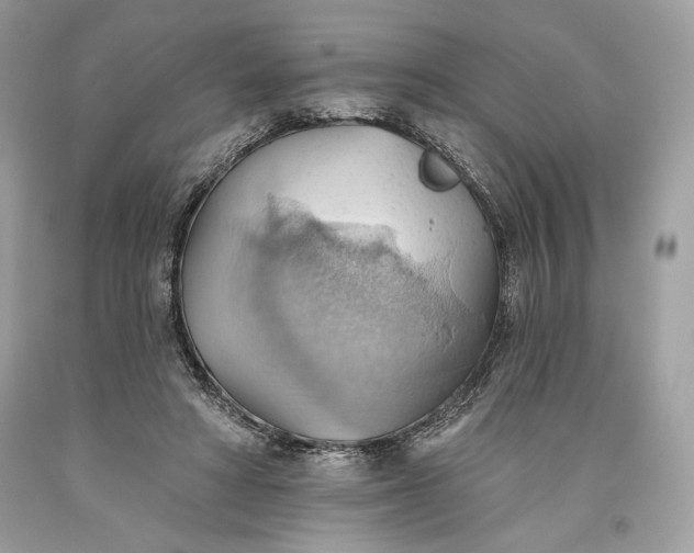 X0000093520402200710261224