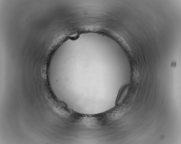 X0000093520403200710261224