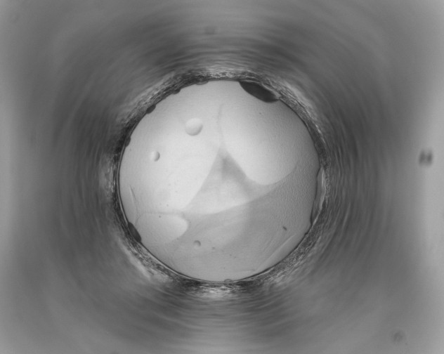 X0000093520405200710261224