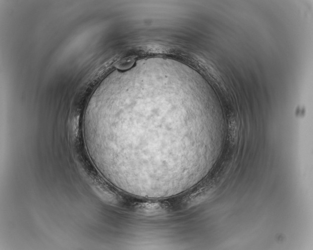 X0000093520406200710261224