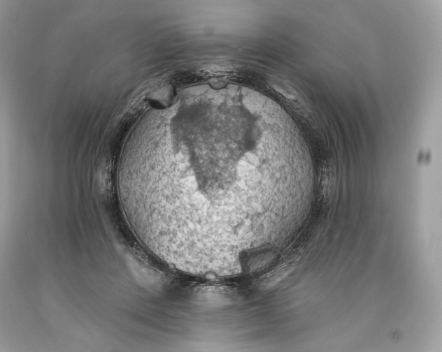 X0000093520408200710261224