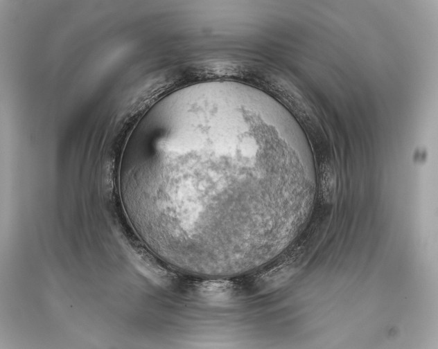 X0000093520410200710261224