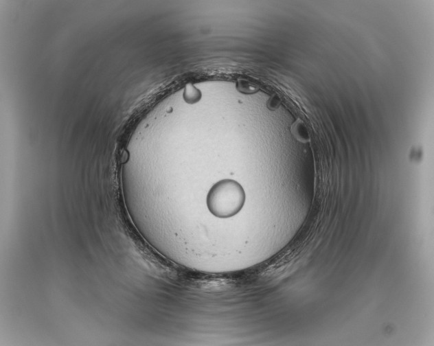 X0000093520411200710261224