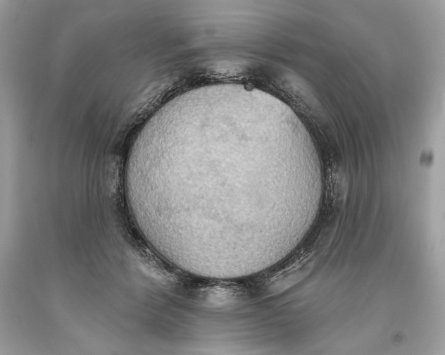 X0000093520412200710261224