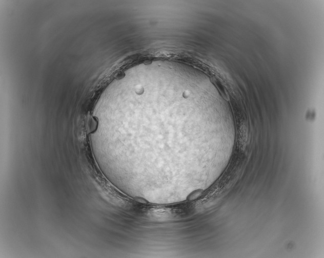 X0000093520413200710261224