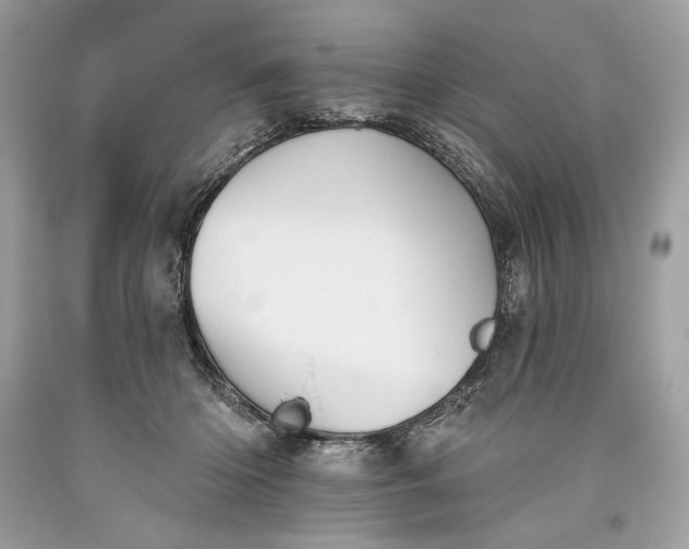 X0000093520414200710261224