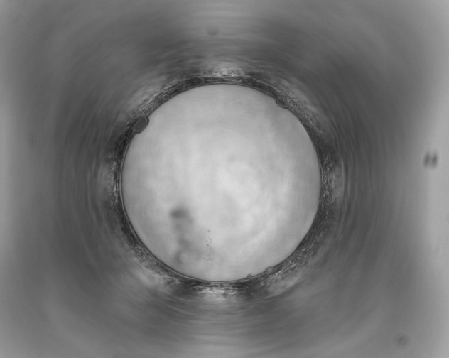 X0000093520415200710261224