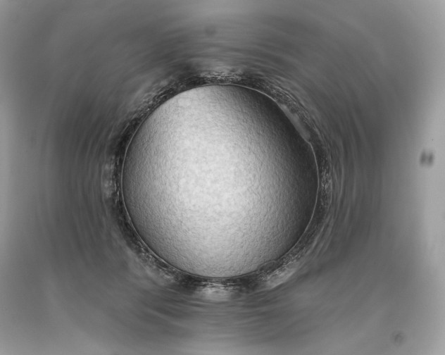 X0000093520416200710261224