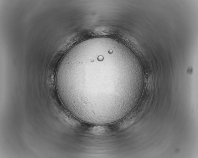 X0000093520418200710261224