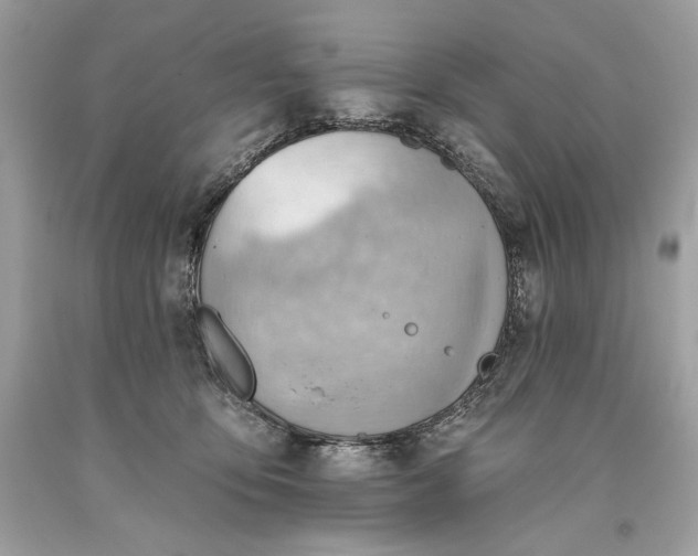 X0000093520419200710261224