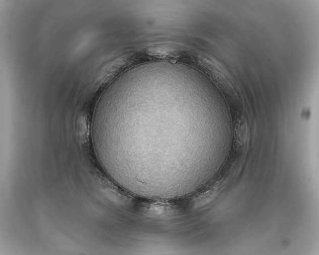 X0000093520420200710261224