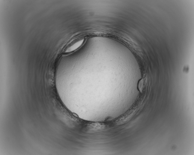 X0000093520421200710261224