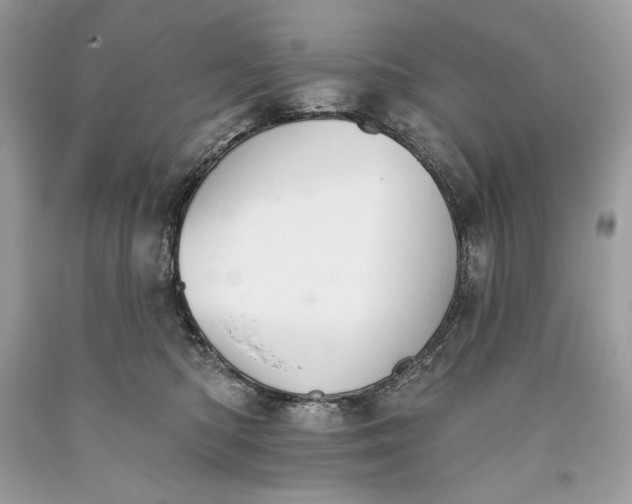 X0000093520422200710261224