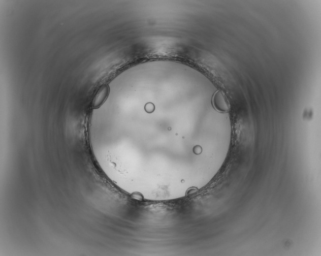 X0000093520423200710261224