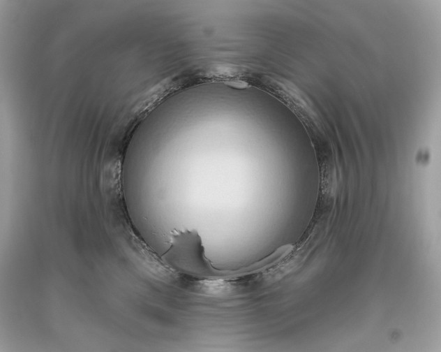 X0000093520425200710261223