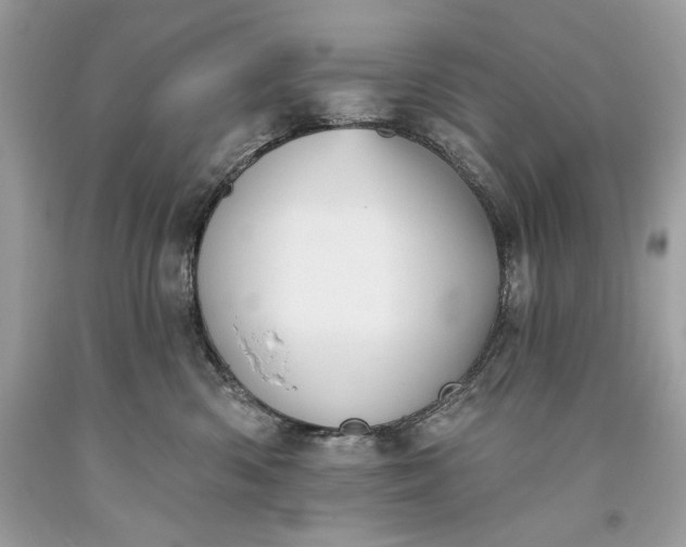 X0000093520426200710261223