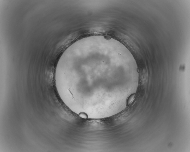 X0000093520427200710261223