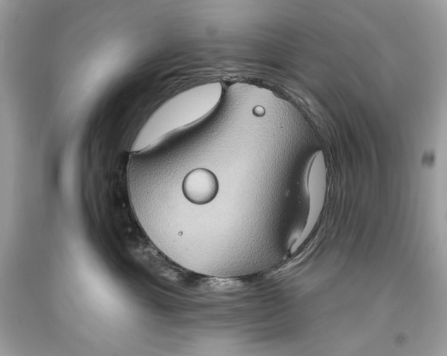 X0000093520429200710261223