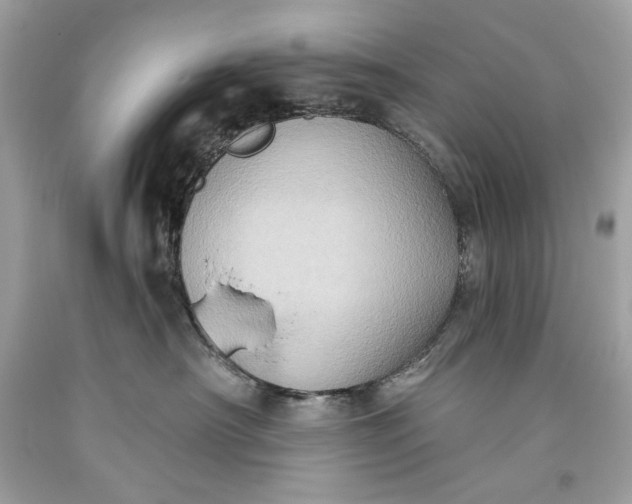 X0000093520430200710261223