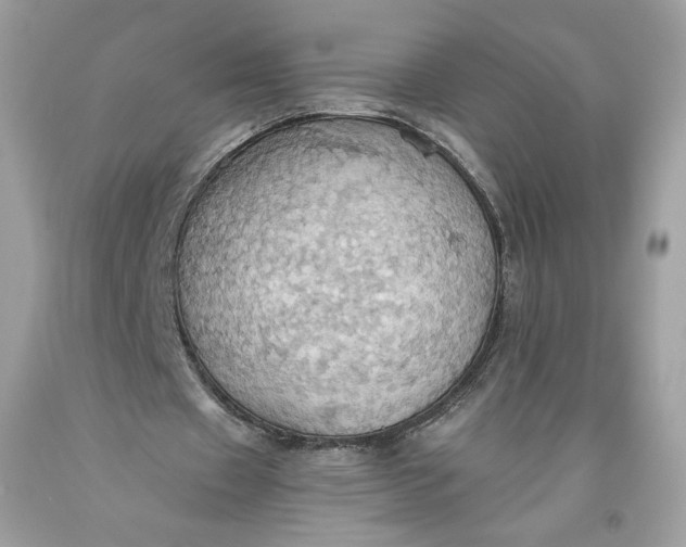 X0000093520433200710261223