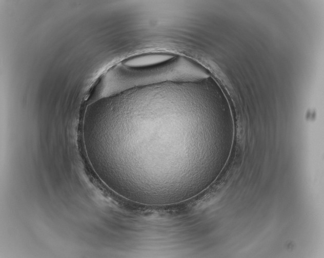 X0000093520434200710261223