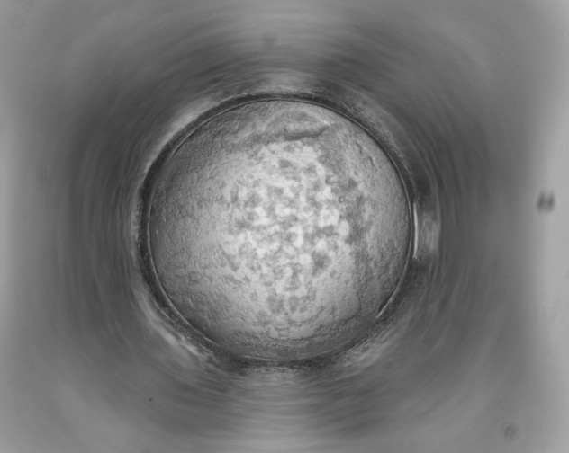 X0000093520435200710261223