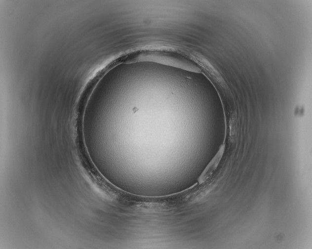 X0000093520436200710261223