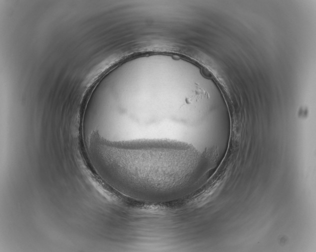 X0000093520437200710261223