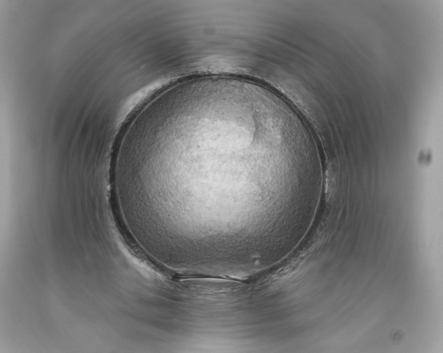 X0000093520438200710261223