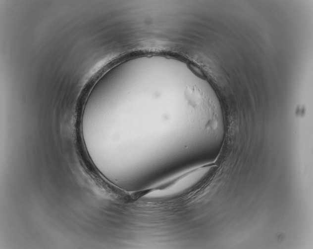 X0000093520440200710261223