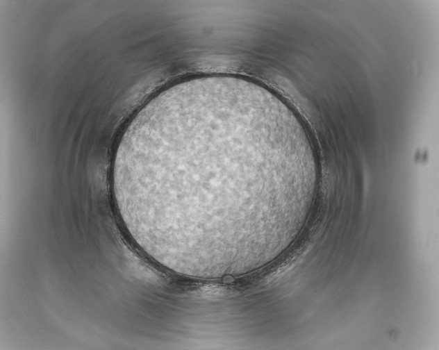 X0000093520441200710261223