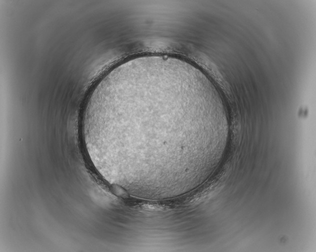 X0000093520442200710261223