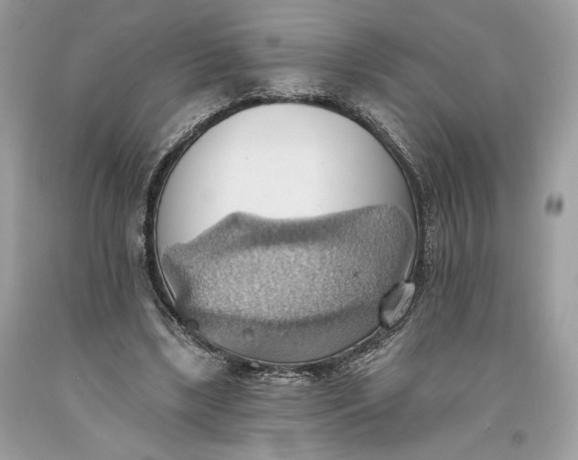 X0000093520443200710261223