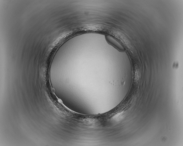 X0000093520444200710261223