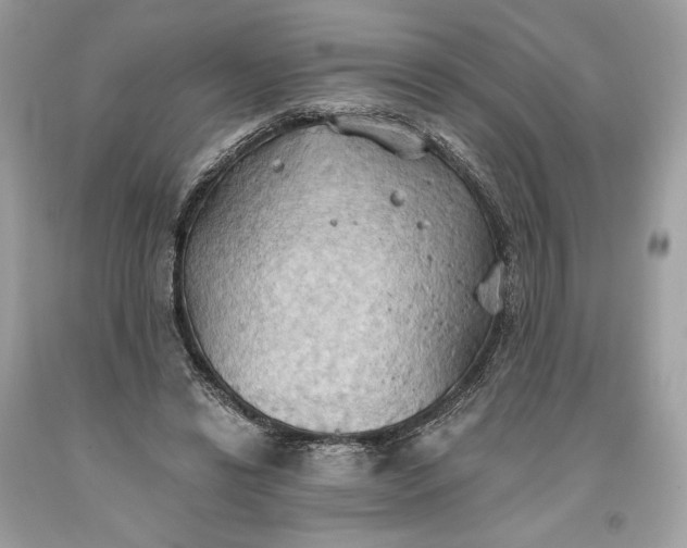 X0000093520446200710261223