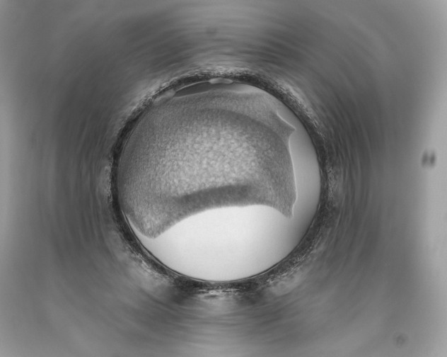 X0000093520447200710261223