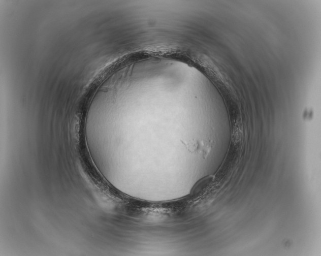 X0000093520448200710261223