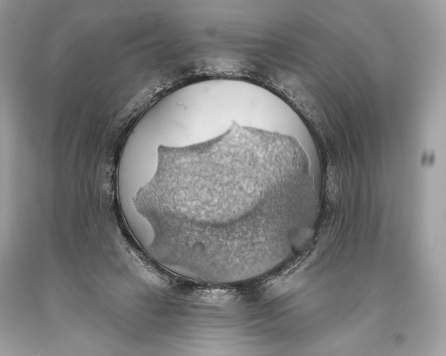 X0000093520449200710261223